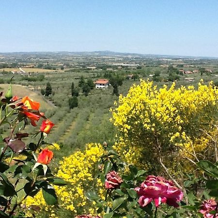 Agriturismo Montigliano Villa Viterbo Esterno foto