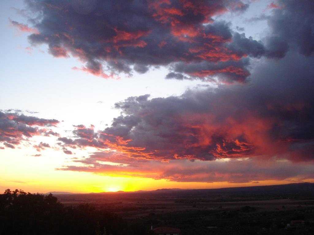 Agriturismo Montigliano Villa Viterbo Esterno foto