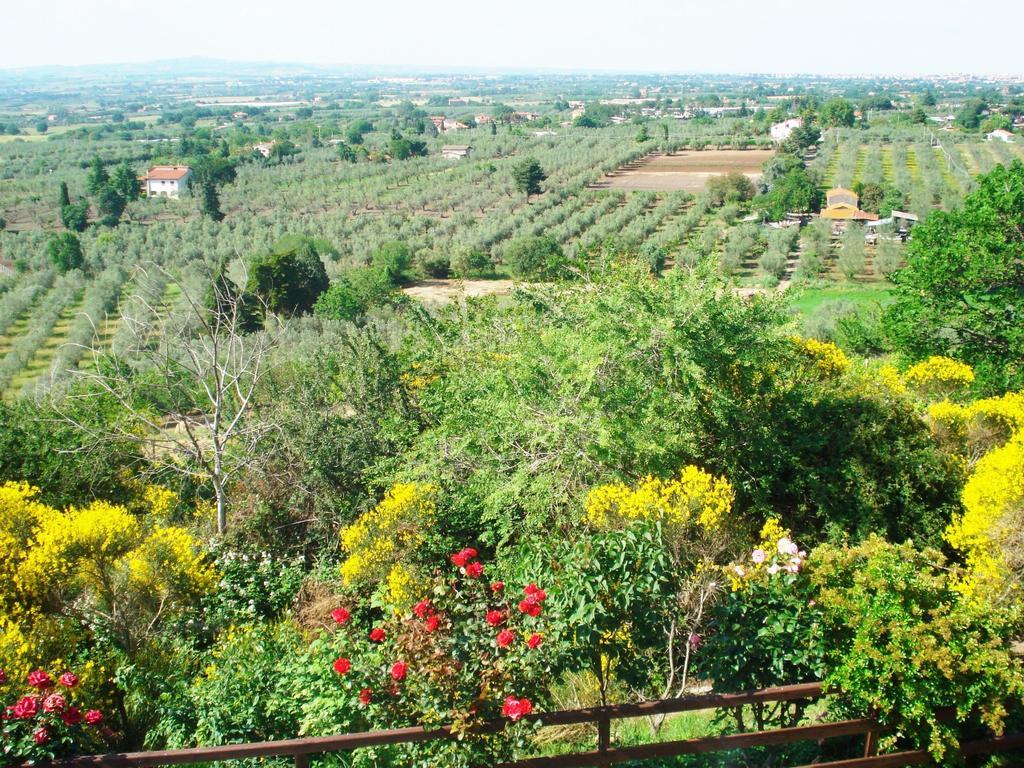 Agriturismo Montigliano Villa Viterbo Esterno foto