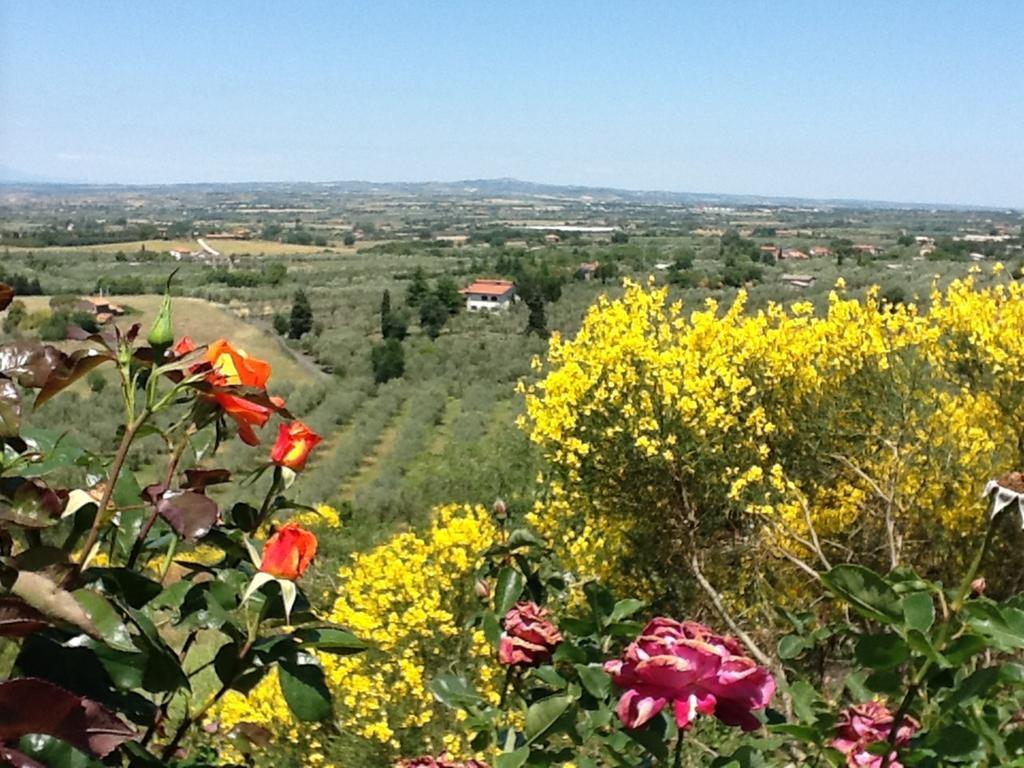 Agriturismo Montigliano Villa Viterbo Esterno foto